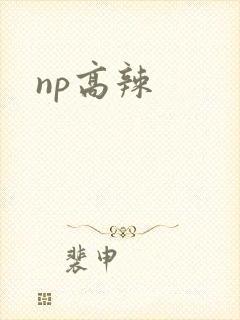 np高辣