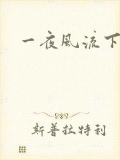一夜风流下载