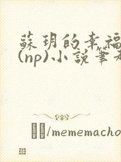 苏玥的幸福生活(np)小说笔趣阁