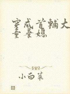 穿成首辅大人的童养媳