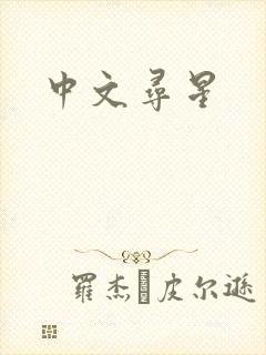 中文寻星
