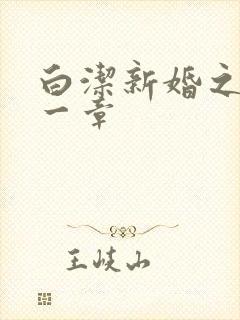白洁新婚之夜第一章