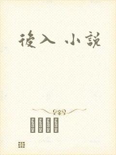 后入 小说