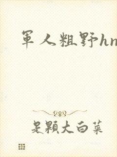 军人粗野hnp