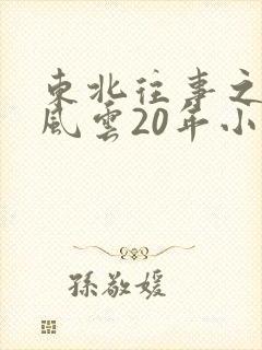 东北往事之黑道风云20年小说