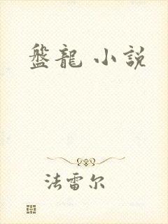 盘龙 小说