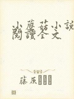 小蘑菇小说免费阅读全文