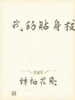 我的贴身校花