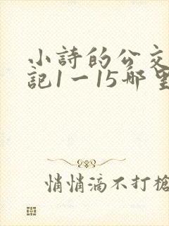 小诗的公交车日记1一15哪里能看