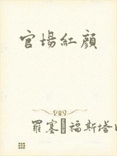 官场红颜