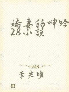娇妻的呻吟1—28小说
