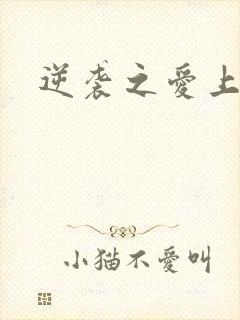 逆袭之爱上情敌