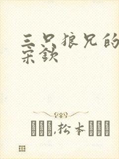 三只狼兄的宠妻宋钦