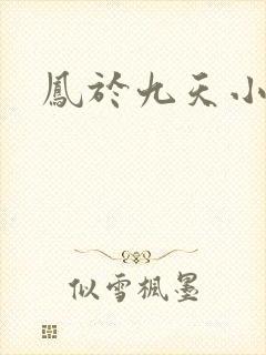 凤于九天小说
