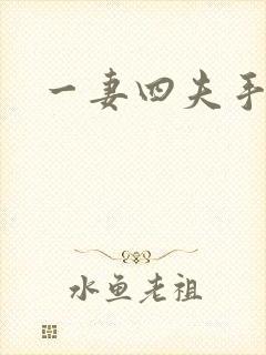 一妻四夫手记