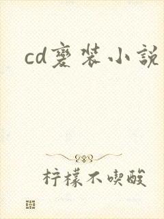 cd变装小说