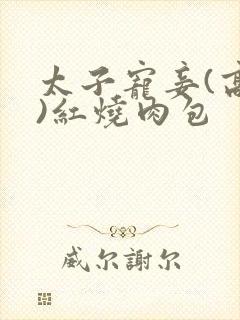 太子宠妾(高肉)红烧肉包