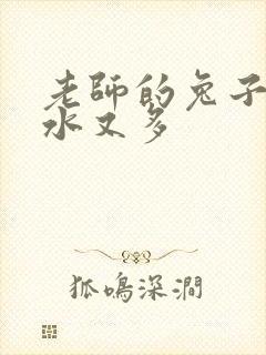 老师的兔子又软水又多