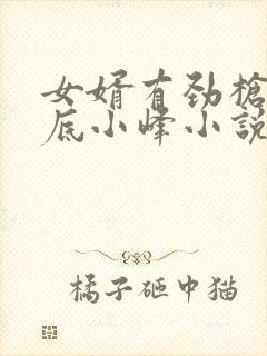 女婿有劲枪枪到底小峰小说