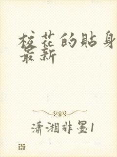 校花的贴身高手最新