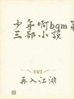 少年啊bgm第三部小说