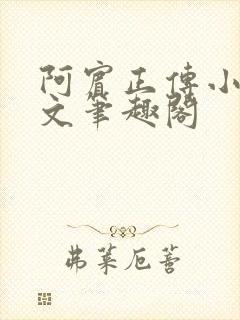 阿宾正传小说全文笔趣阁