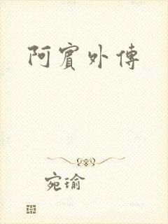 阿宾外传