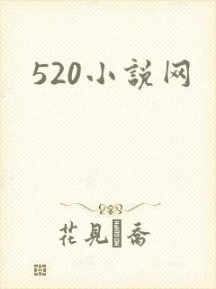 520小说网