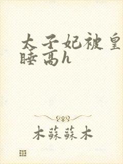 太子妃被皇上强睡高h