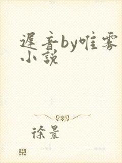 迟音by唯雾的小说