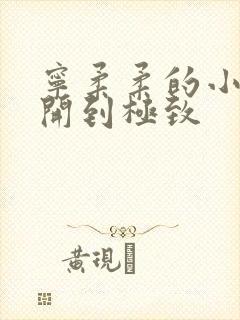 宁柔柔的小泬撑开到极致