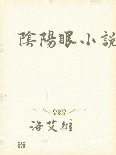 阴阳眼小说