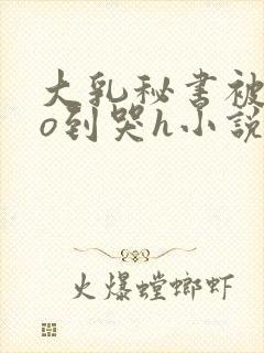 大乳秘书被cao到哭h小说