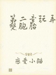 第二章玩弄校花双胞胎