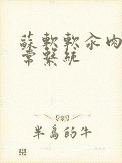 苏软软汆肉的日常系统