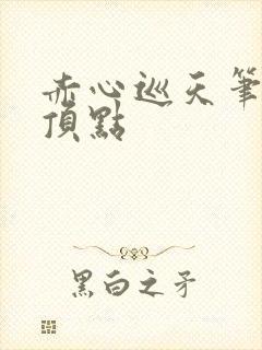 赤心巡天笔趣阁顶点