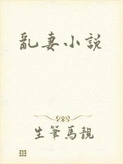 乱妻小说