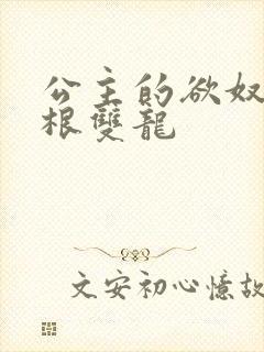 公主的欲奴h四根双龙