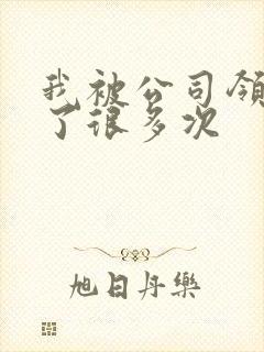 我被公司领导C了很多次