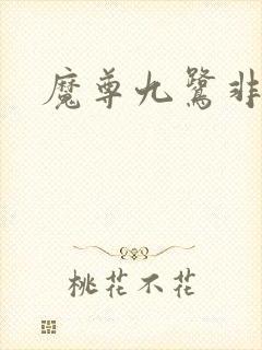 魔尊九鹭非香
