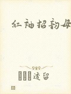 红袖招韵母攻略