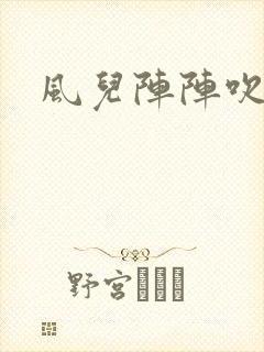风儿阵阵吹