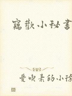 窃欢小秘书