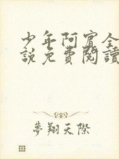 少年阿宾全文小说免费阅读笔趣阁