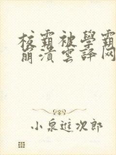 校霸被学霸玩到崩溃云译网