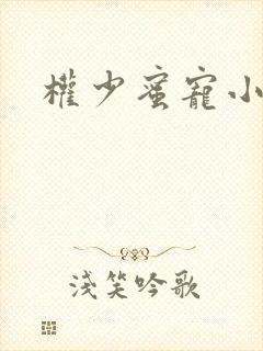 权少蜜宠小娇妻