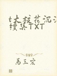 t大校花沉浮录续集TXT
