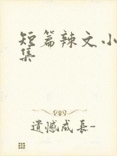 短篇辣文小说合集