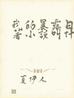 我的暴露日记原著小说叫什么