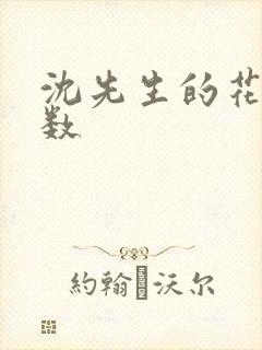 沈先生的花式调数